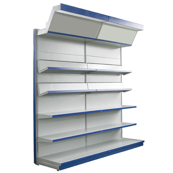 Book and disk shelf 5